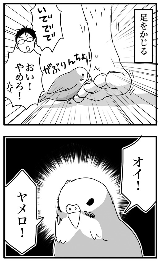 ぼんすのコピー4