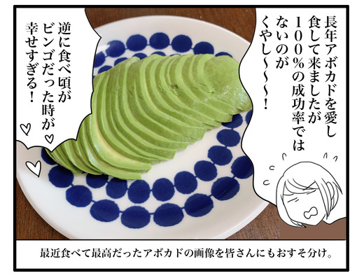 abokadoのコピー3