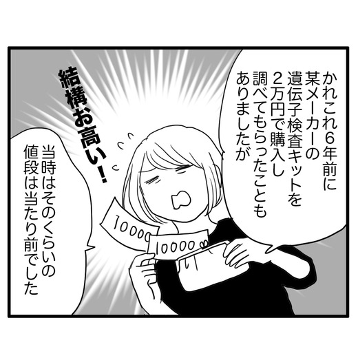 idennsikennsaのコピー3