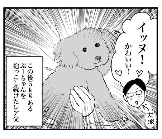 サプラ のコピー6
