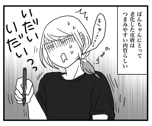 にわとりのコピー4