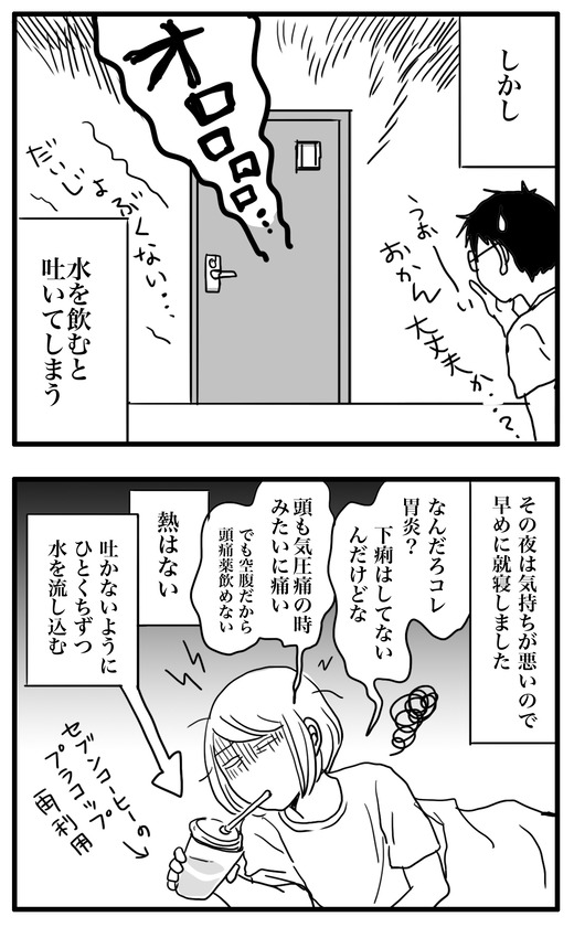 ころな のコピー3