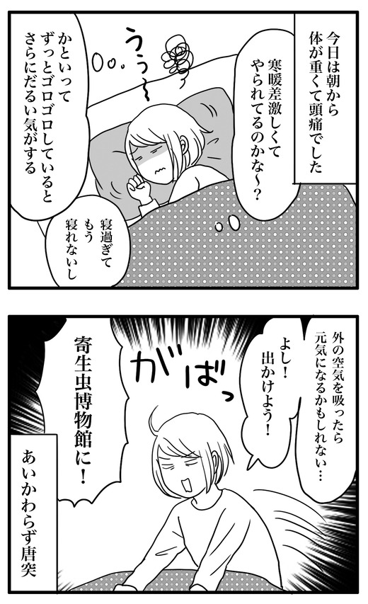 寄生虫のコピー