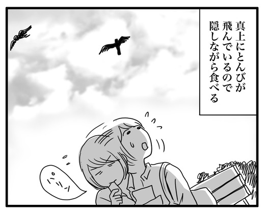 トンビ