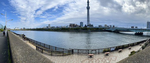 IMG_5473 のコピー