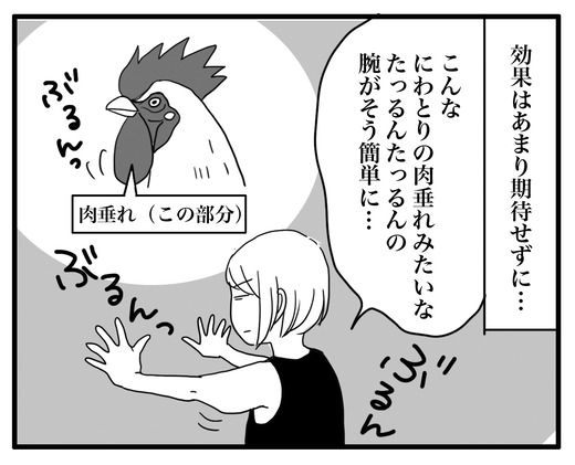 にわとりのコピー2