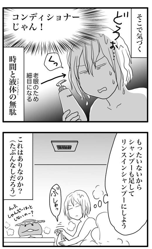 シャンプのコピー3