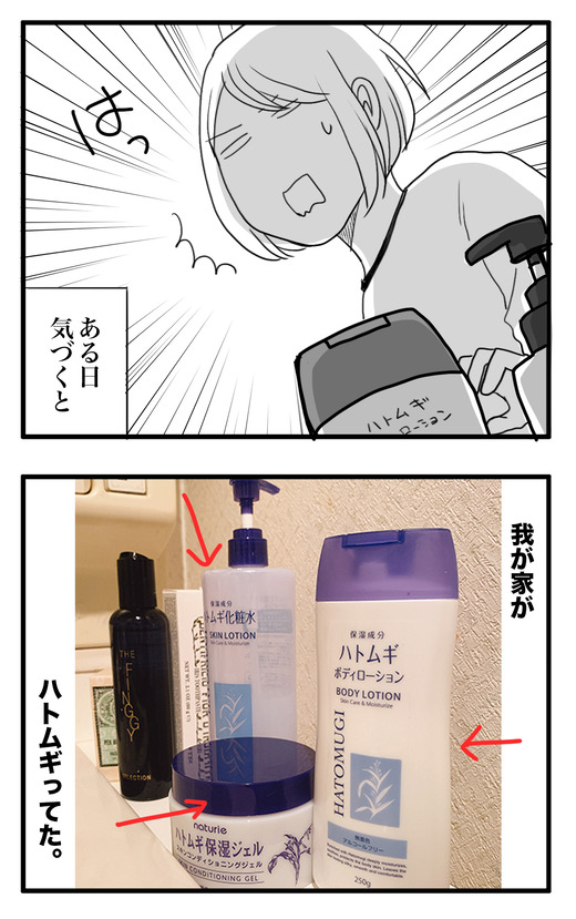 ハトムギッテルのコピー3