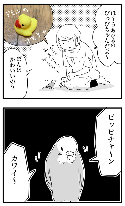 ぼんすのコピー2