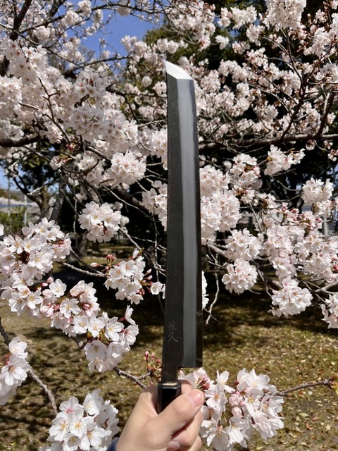 8049AEA4-B9EE-43E2-A6AC-90420938222B