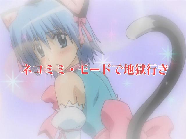ハヤテのごとく 那矢一二三の四次元おもちゃ箱 ハヤテのごとく 那矢一二三の四次元おもちゃ箱