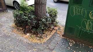 IMG_20171030_095242