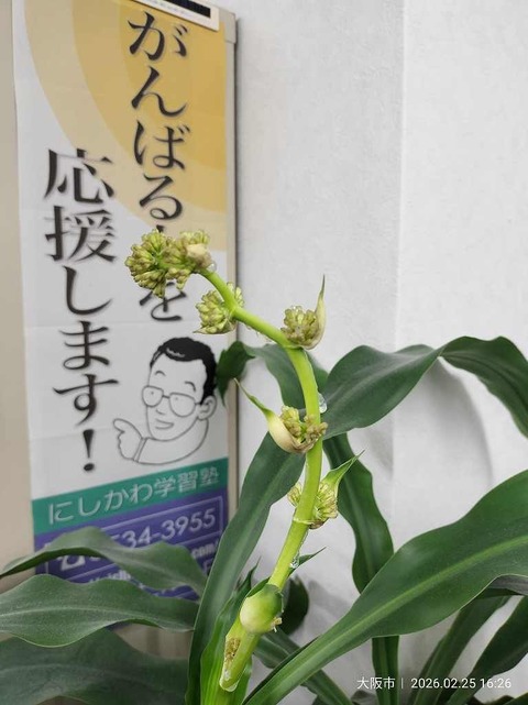 s-IMG20260225162639