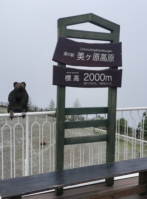 IMG20250825100503