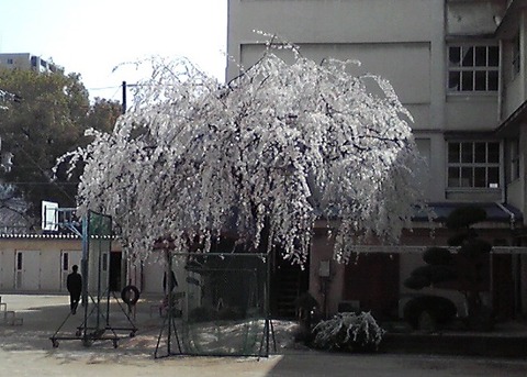 K3411118