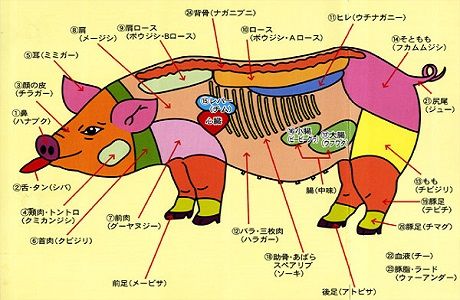 豚の日01