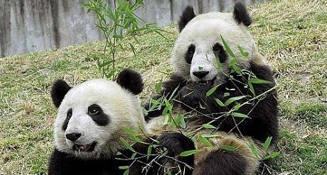 中国残留孤児の日02