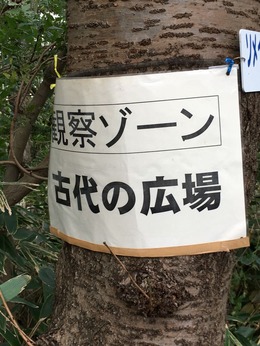 C0290B77-5B3B-4A1C-8BAC-A05E6C934780