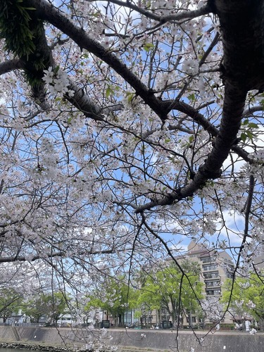 image3 (1)