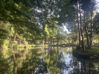 drive_park_blog320