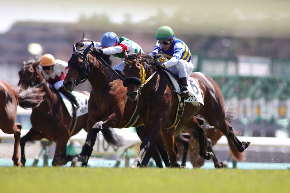 神秘主義者の走り ハーメティキスト Knrnの写真撮影