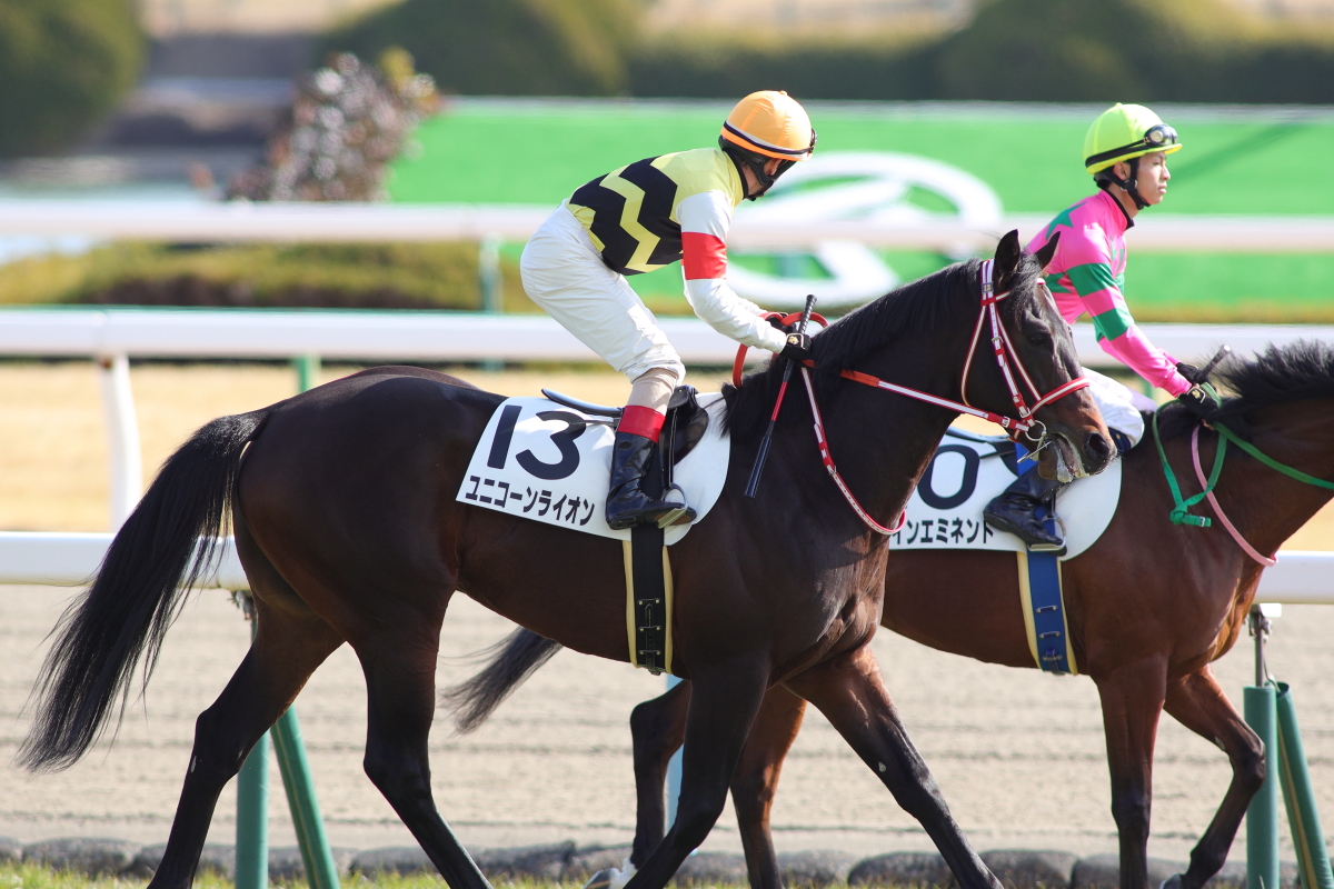 シルクロードsとか謎の超高額馬とか Knrnの写真撮影