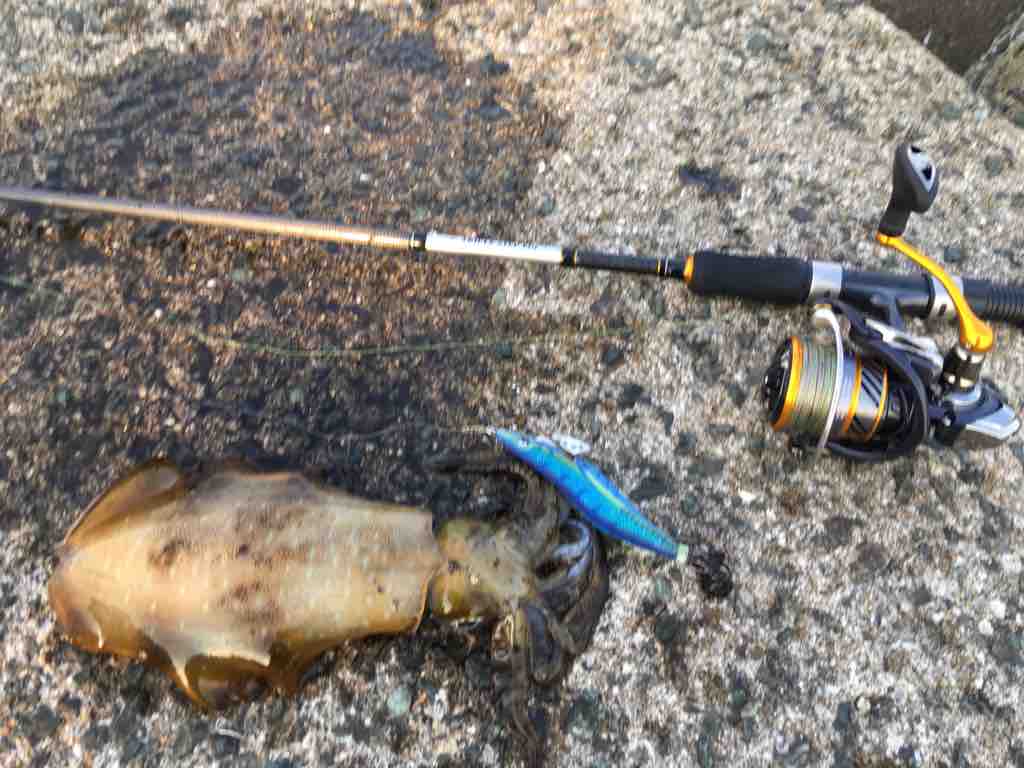 食べ比べ 金沢屋 福津店のブログ