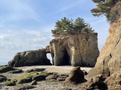 Eternal Children Blog