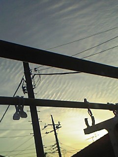 第四夜は明日ね 夢色日記