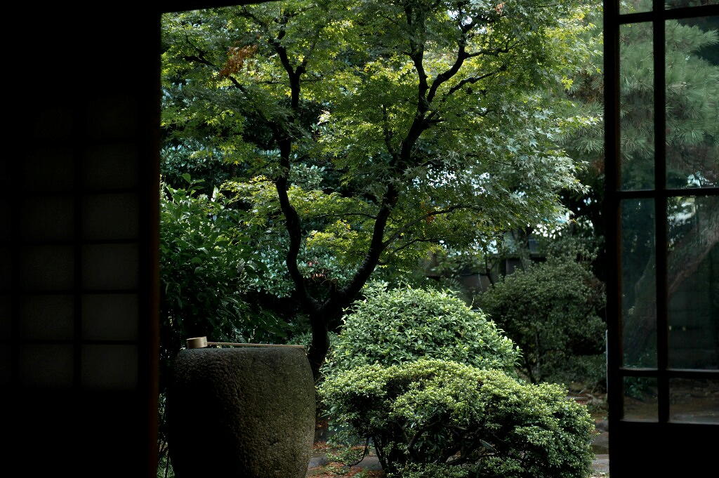 竹藪緊縛 野外調教エロ画像】首輪や緊縛を使って外でSMプレイ！（18枚） | エロ画像ギャラリーエロ画像ギャラリー