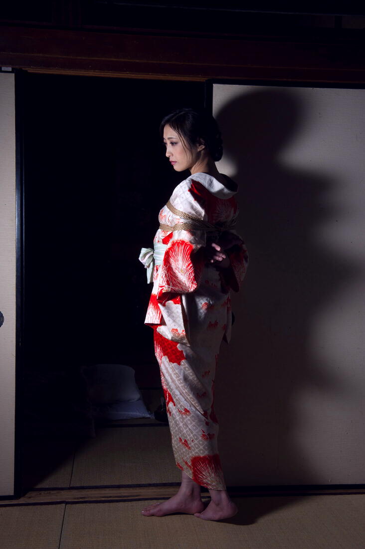 緊縛i 和装 美しき女性の緊縛美 (642）和風の美女 (3) : ko_c_sanのblog