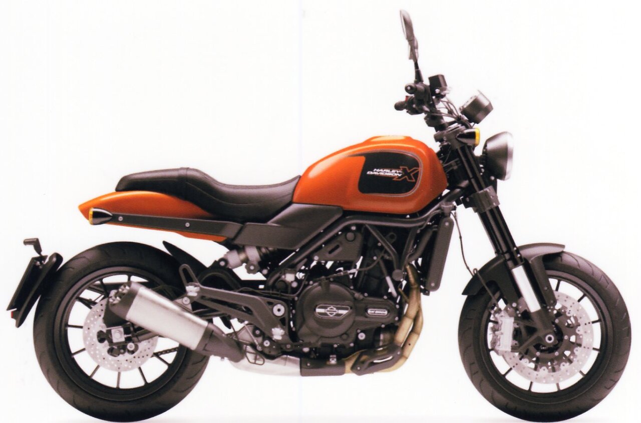 金粉ショー クリトリス