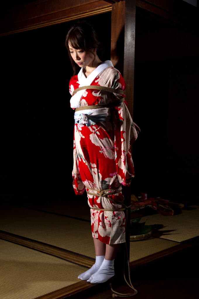 美しき女性の緊縛美 (457) 着衣で緊縛された美女 (2) ko_c_sanのblog