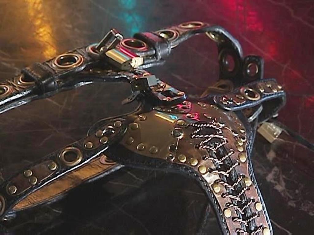 無修正SM貞操帯写真 美しき女性の緊縛美 (698) 貞操帯の美女 : ko_c_sanのblog