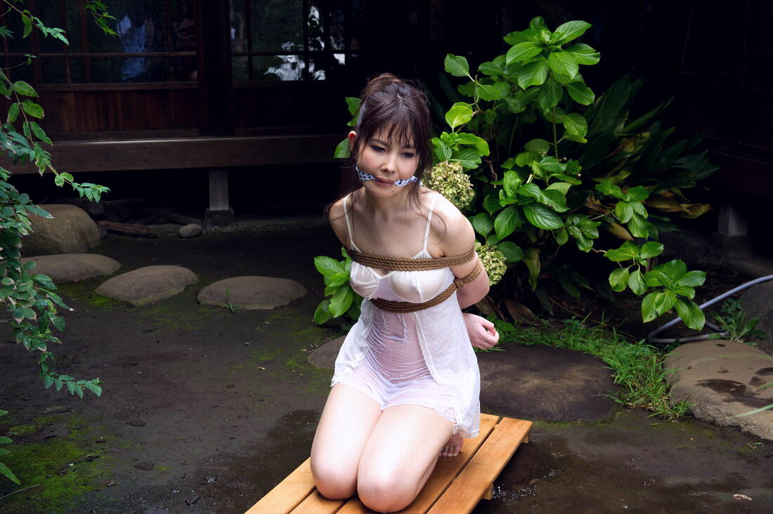 美しき女性の緊縛美 419 猿轡の女 4 Ko C Sanのblog