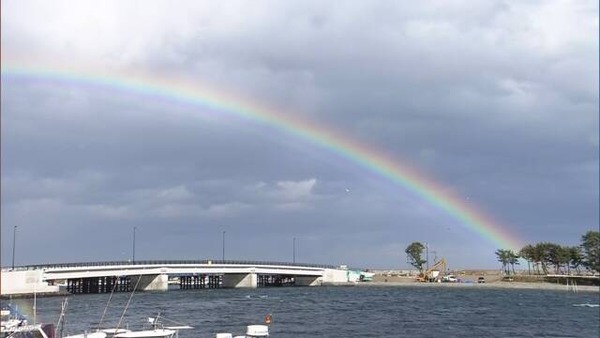 K10012325801_2003111724_2003111729_01_03