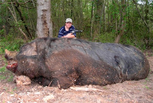 monster-pig