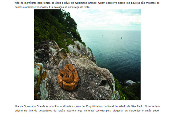 ケイマーダ グランデ島 Ilha Da Queimada Grande Japaneseclass Jp