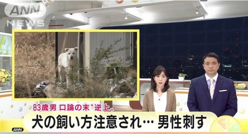3qq