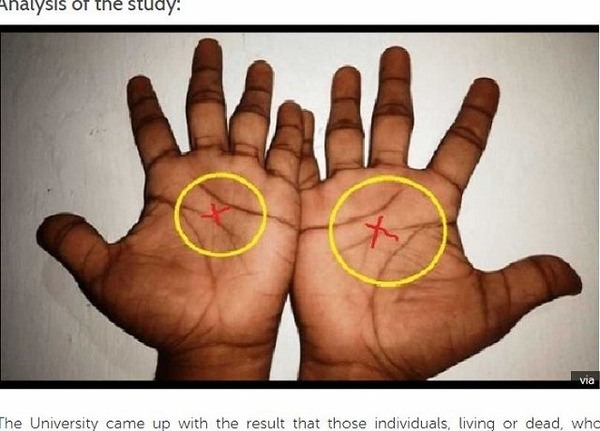お前らちょっと手見てみ 選ばれし者のみが持つx型手相 2ch コピペ情報局