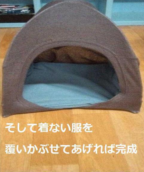 B7ov4ldCcAApXu_