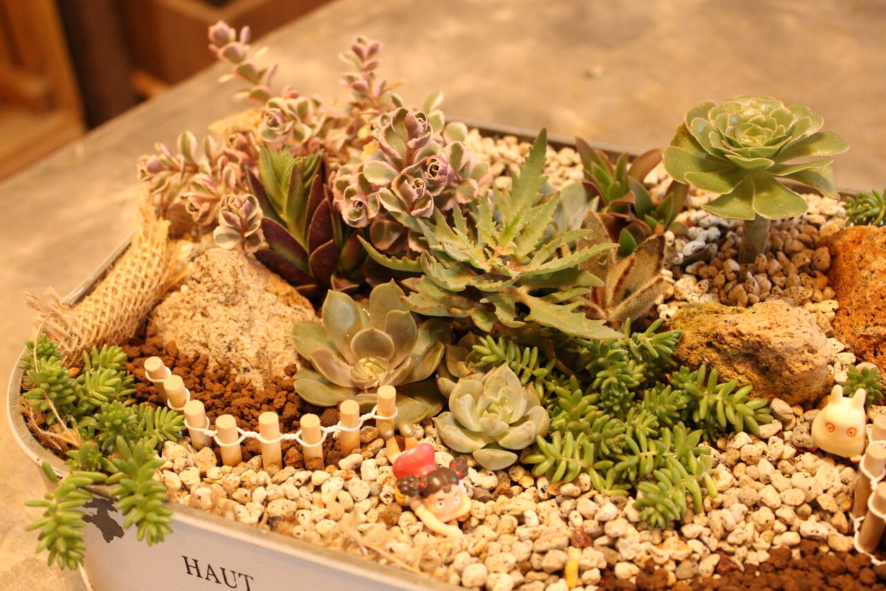 寄せ植えオーダー承ります プチ フルール Actis Flower Garden Green