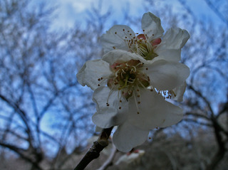 f9186c31.jpg