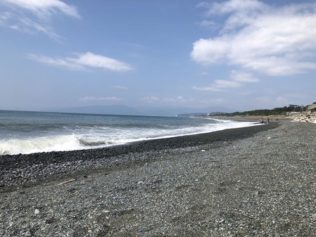 FCDB157E-05E3-477F-847C-0B37965F5D19
