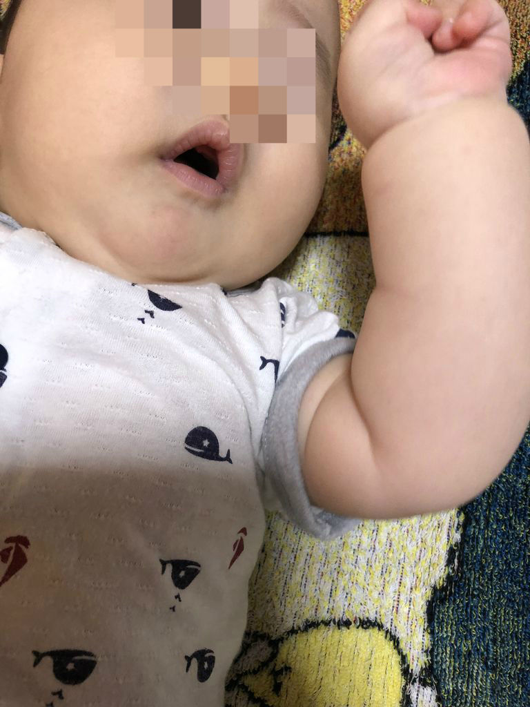 美味しいフォカッチャ アルタムーラ 迷走する小人