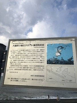 B160710D-1D26-4059-A805-0A6C4F89AE3E