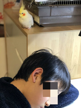 追われる長男 迷走する小人