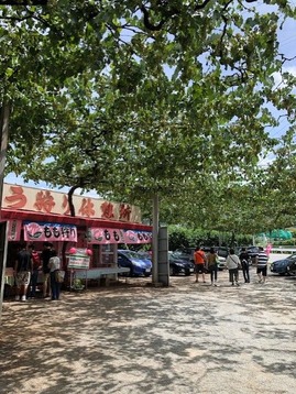 thumbnail_image1 (17)