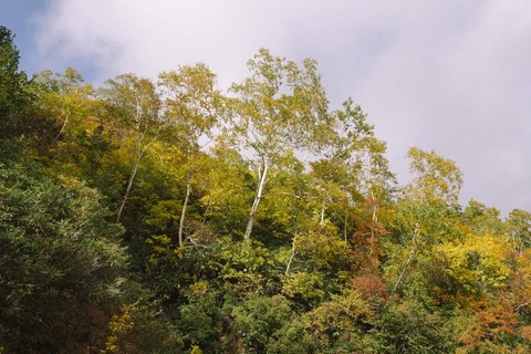 rds_2411_mi004_TP_V4