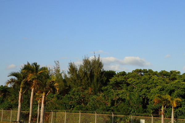 P3150656
